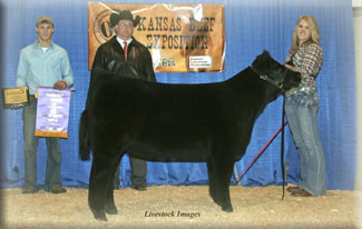 Grand Champion Contenental Heifer 2008 Belt Buckle